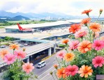 深圳机场附近有花店吗