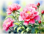 5月份开什么花的季节