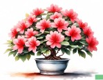 盆栽杜鹃花的养殖方法和注意事项有哪些