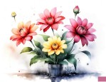 4种花最好 穷养