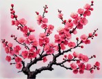 2025年梅花的象征和品质