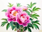 牡丹花都有什么颜色的