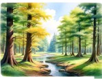 水杉为什么称为活化石
