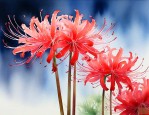 彼岸花是什么样子的花