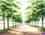 12公分刺槐种植基地