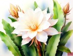 昙花的养殖方法和修剪