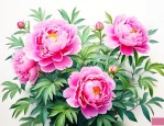 牡丹花夏天是什么样的