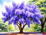 蓝花楹树10公分价格