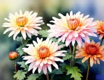 菊花是什么季节开的花