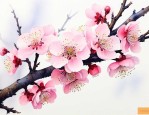 梅花的其他特点是什么