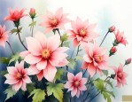 原神的全部的花的花语