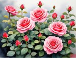 2025年月季花在几月开花