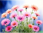 满天星这个花长什么样