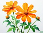 橙色的小花叫什么名字