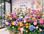 2025年达州花店电话号码