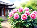 庭院中可以栽牡丹花吗
