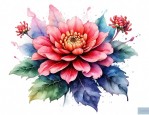 有毒的观赏花