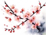 梅花二度什么意思