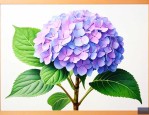 绣球花几天不浇水会死