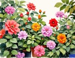 2025年月份开花花卉植物