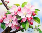 苹果花是什么颜色的花