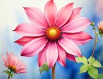 世界和平之花是什么花