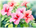 什么样的花在夏天开放