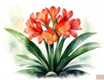 怎样养植君子兰