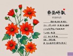 2025年教师节什么花最好