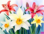 百合花和水仙花的区别