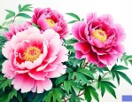 牡丹花适合温度多少度