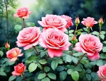 院里栽月季花风水好吗