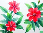 夏天有什么花是红色的