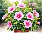 2025年木槿花的种植时间