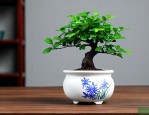 网上卖的小叶紫檀盆栽