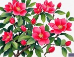 2025年红玉兰花语和寓意