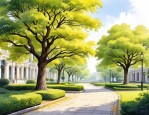 2025年梧桐树四季常青吗