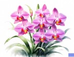 花中君子是兰花吗