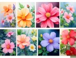 什么花一年四季常开花