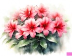 怎么样养杜鹃花