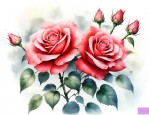 月季花哪个季节开