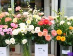 深圳市白泥坑附近花店