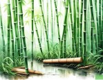 为什么还没有一种能彻底除树竹草的方法