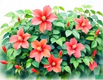 广西适合种什么爬藤花