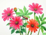 家中养的花有虫子怎么办