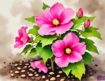 2025年木芙蓉种子怎么种