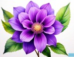 颜色是紫色的花有哪些