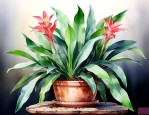 铂金钻植物怎样养的好