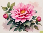 2025年具有特殊意义的花