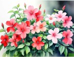 适合家里养的花寓意比较好的